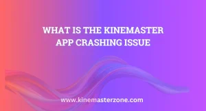 KineMaster App Crashing issue on Android phone while editing video